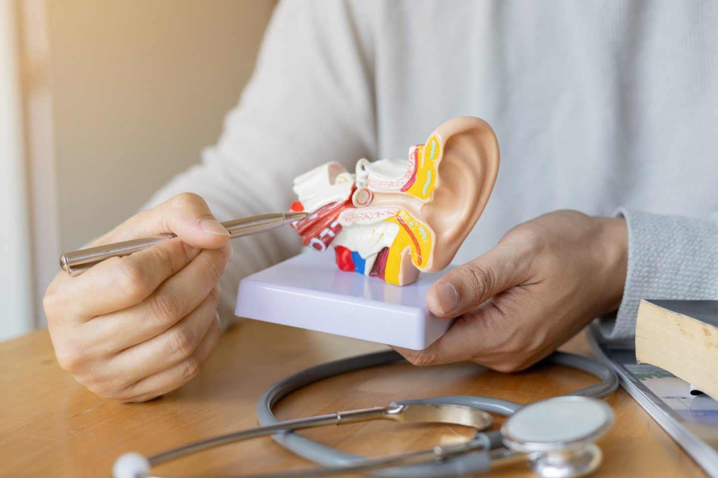 Doctor demonstrating medical Cochlear implants on a model of the ear