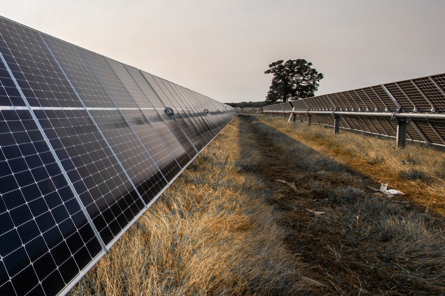 Yarranlea Solar Farm in QLD west of Brisbane generating green energy