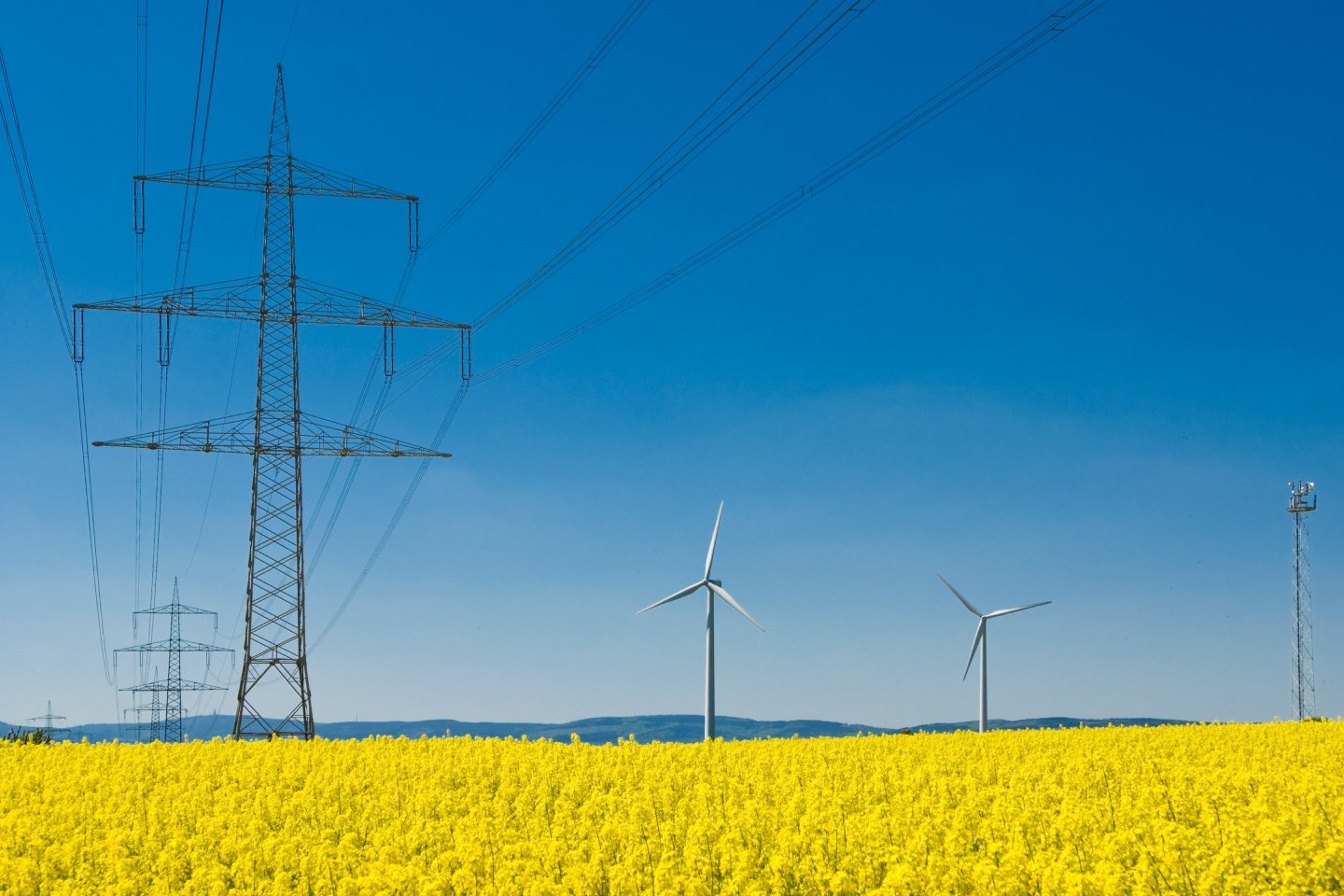 Electrical towers in the middle of flower fields as energy and communications software Hansen is added to the portfolio