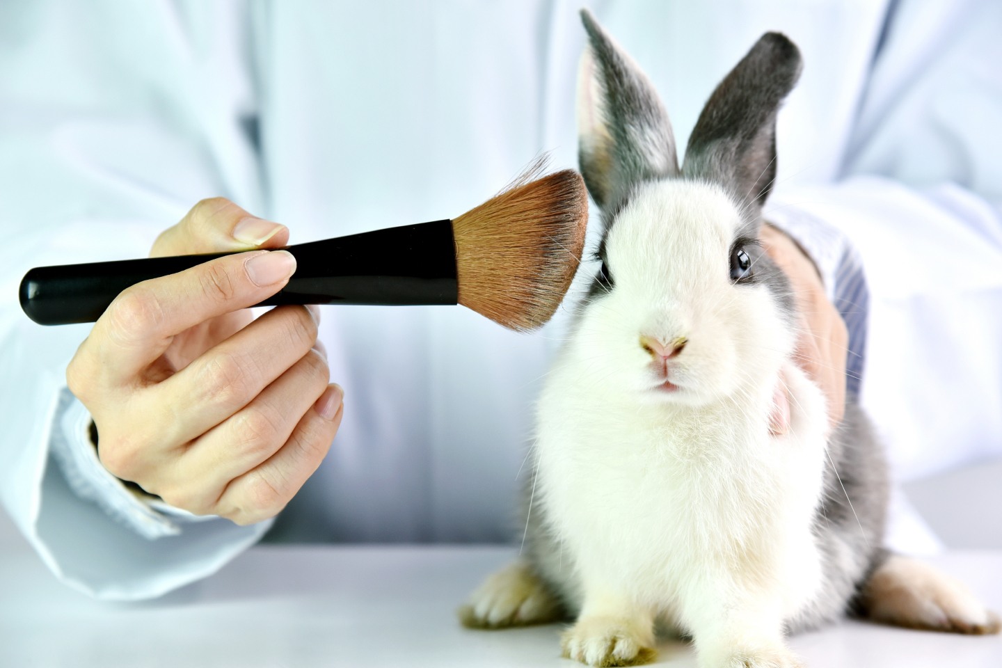 Rabbit having cosmetic tools tested on it to indicate Australian Ethical's stance against animal testing 