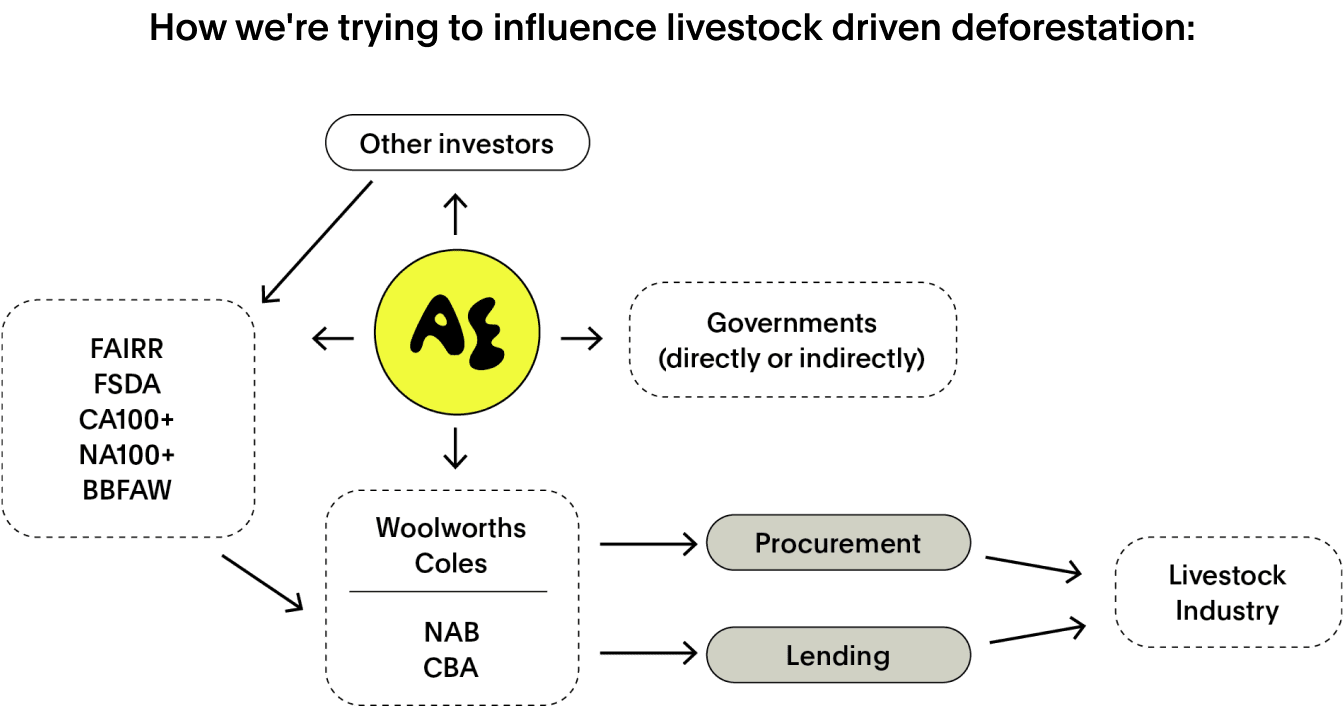 Flow chart showing Australian Ethical action towards stopping livestock deforestation